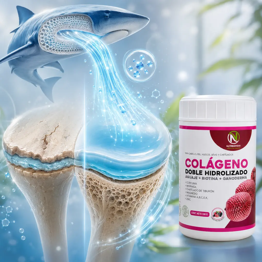cartílago de tiburón para regenerar cartílago – Nutrimundo1
