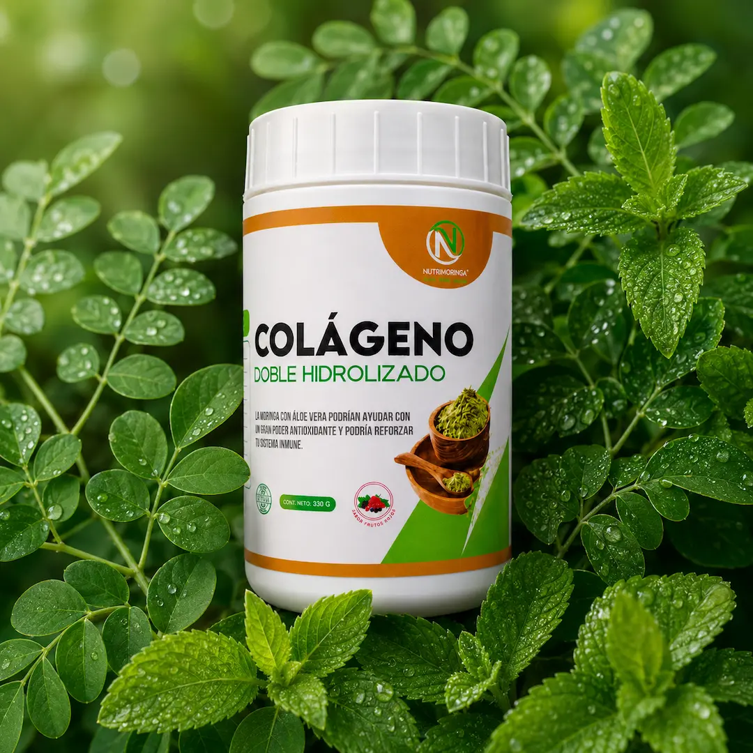 moringa y stevia — Nutrimundo1