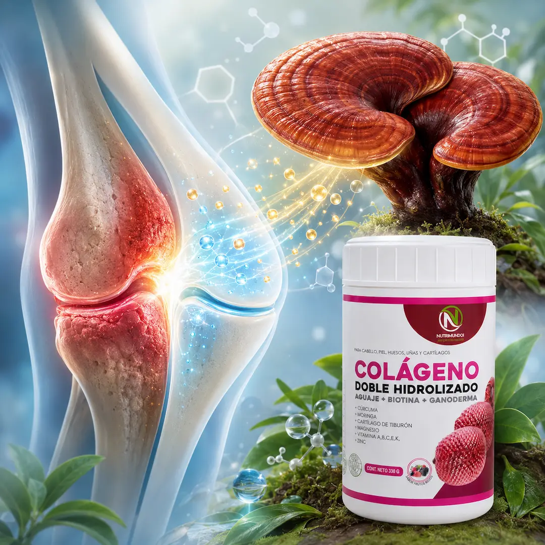 ganoderma antiinflamatorio natural para articulaciones – Nutrimundo1
