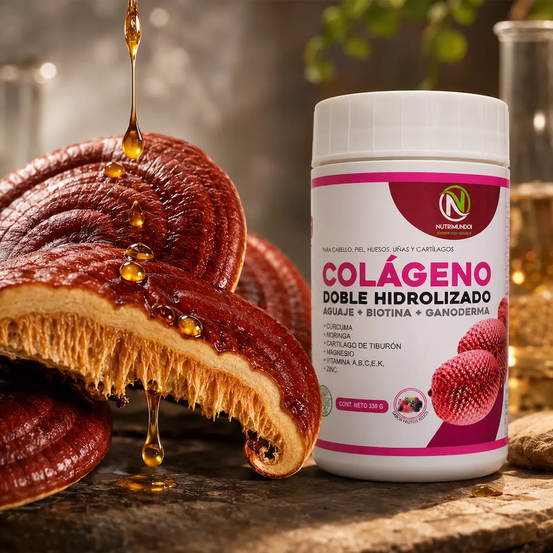 Ganoderma lucidum para el sistema inmunológico — Nutrimundo1