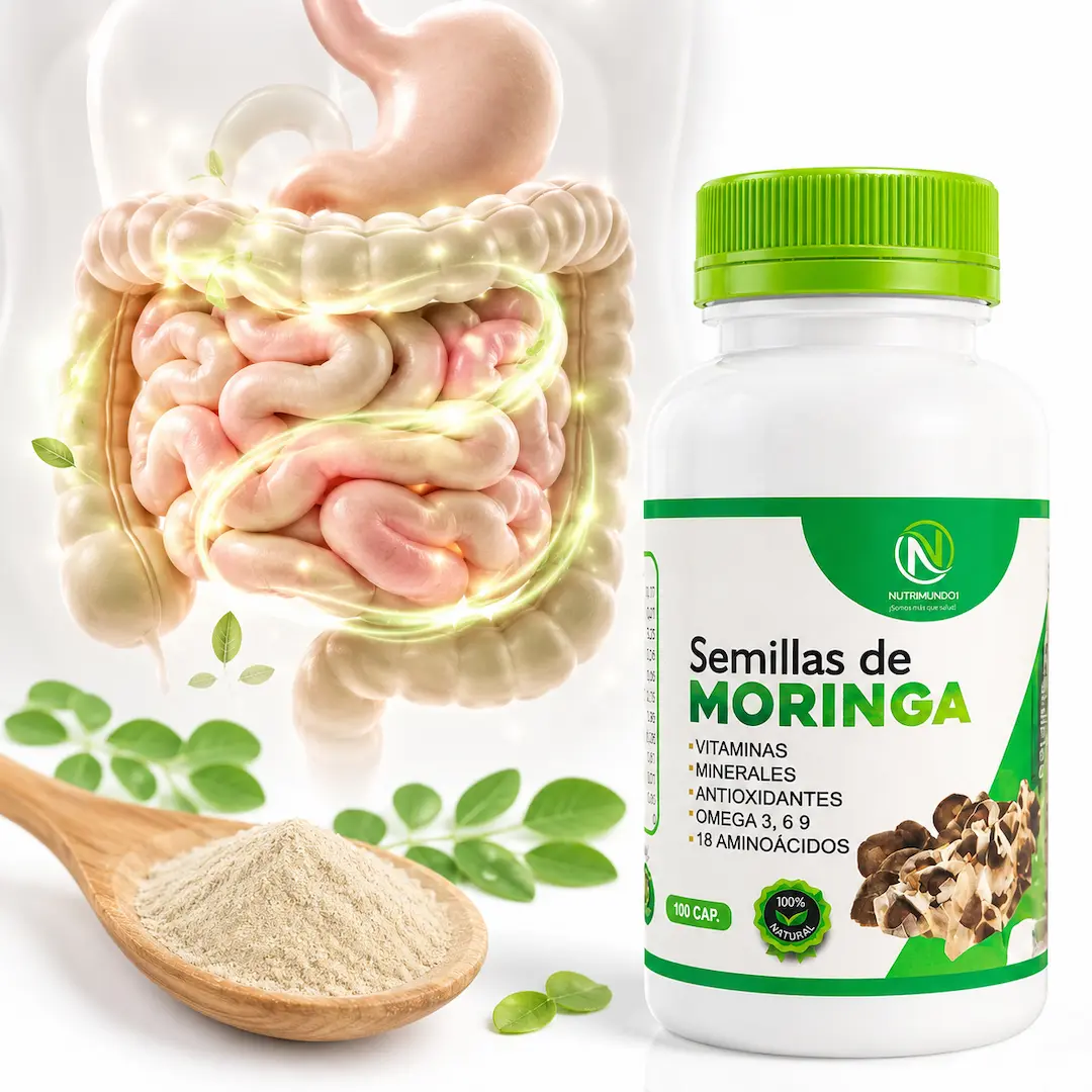beneficios de las semillas de moringa para la digestión y el tránsito intestinal – Nutrimundo1
