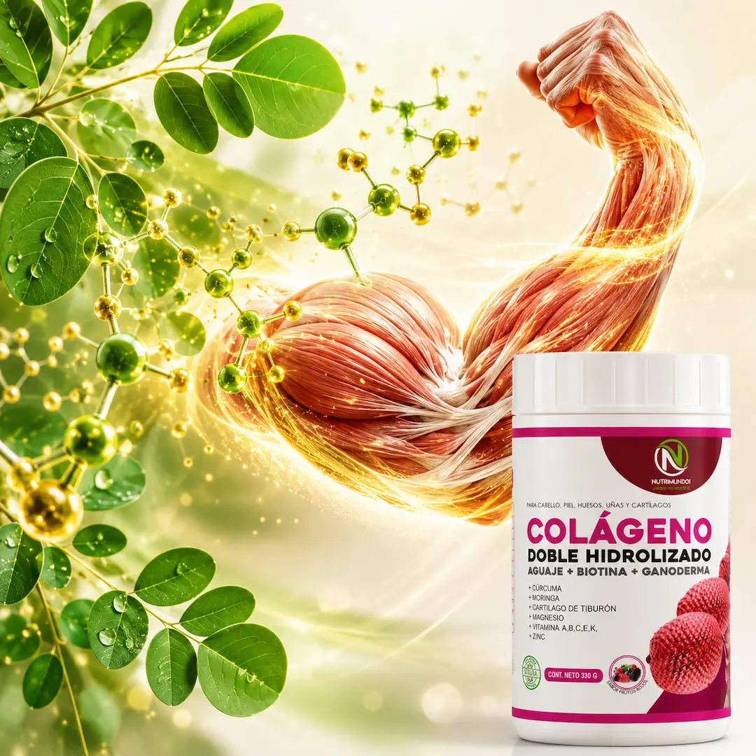 proteínas de la moringa para músculos – Nutrimundo1