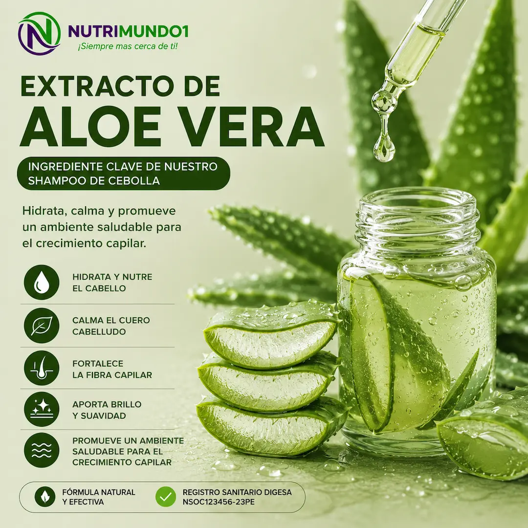Aloe vera para el cabello — Nutrimundo1