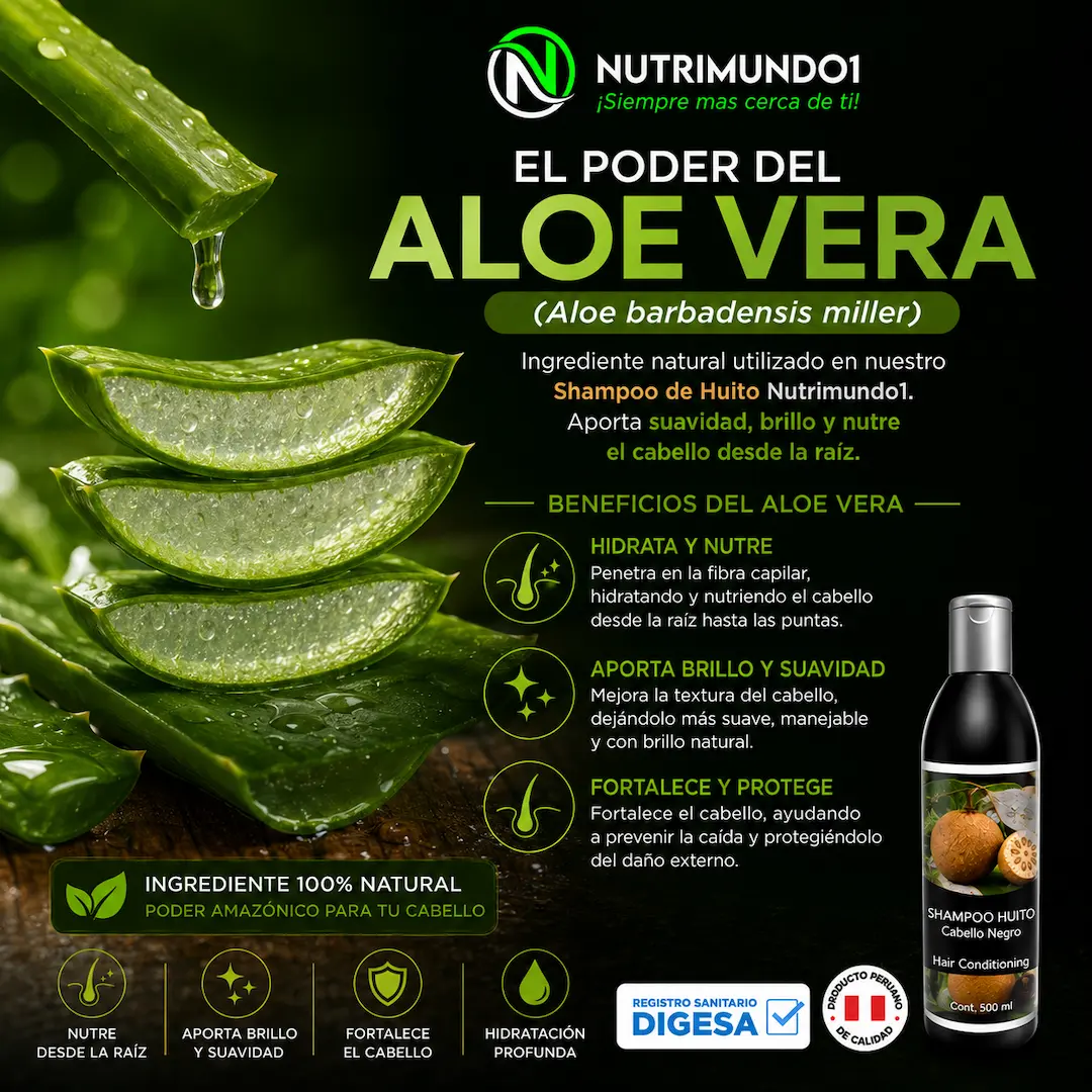 Aloe vera, hidratante natural para el cabello — Nutrimundo1