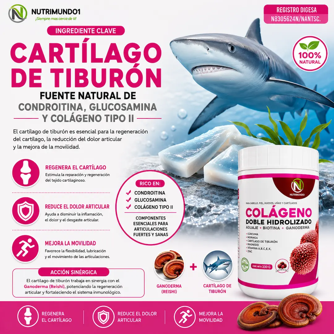 Cartílago de tiburón para regenerar articulaciones — Nutrimundo1