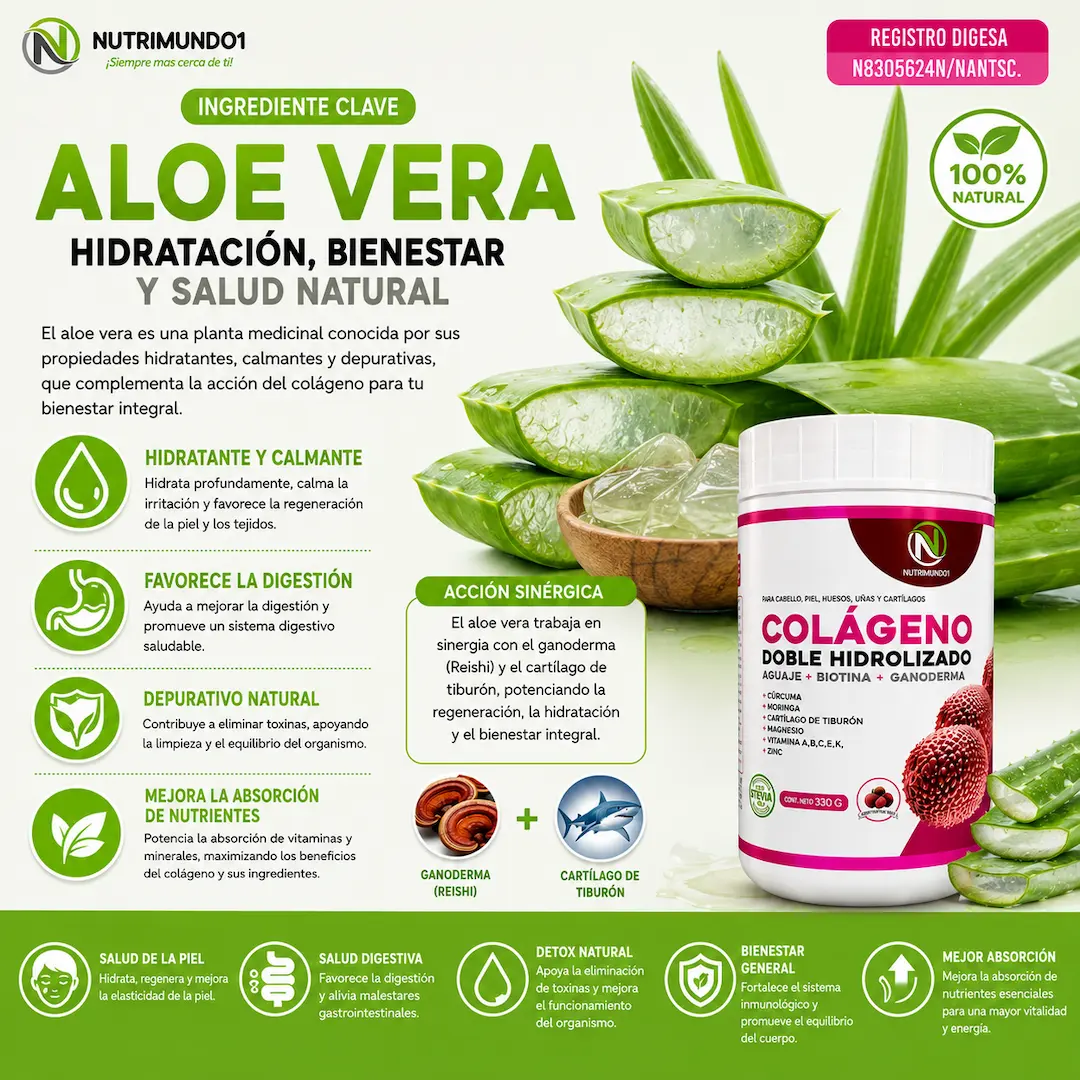 Aloe vera para la salud — Nutrimundo1