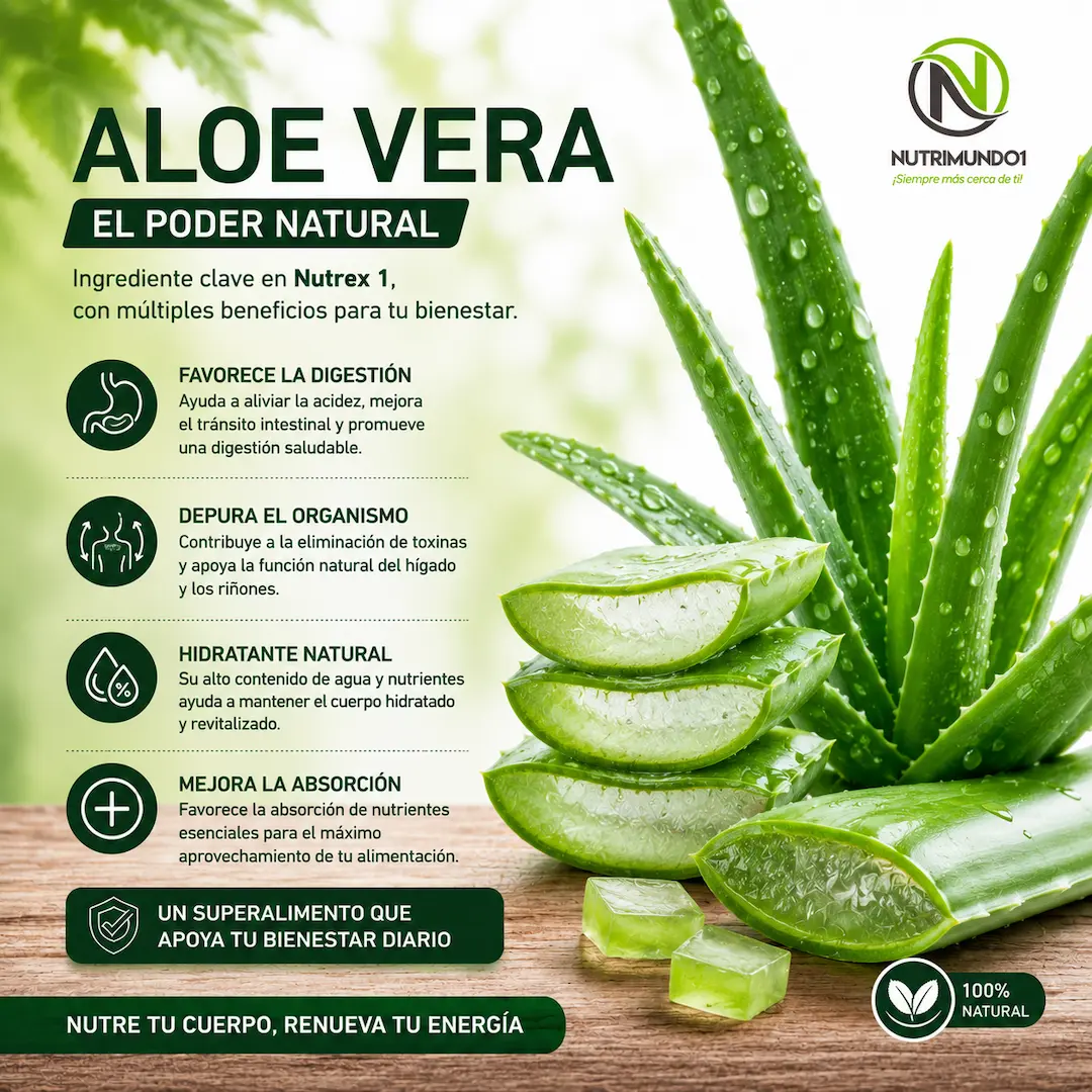Aloe vera para la digestión y depuración — Nutrimundo1