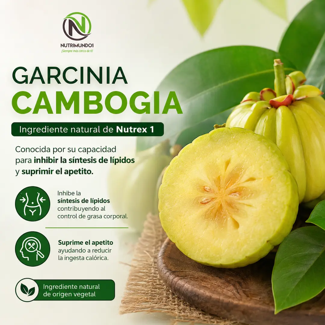 Garcinia cambogia para que sirve — Nutrimundo1