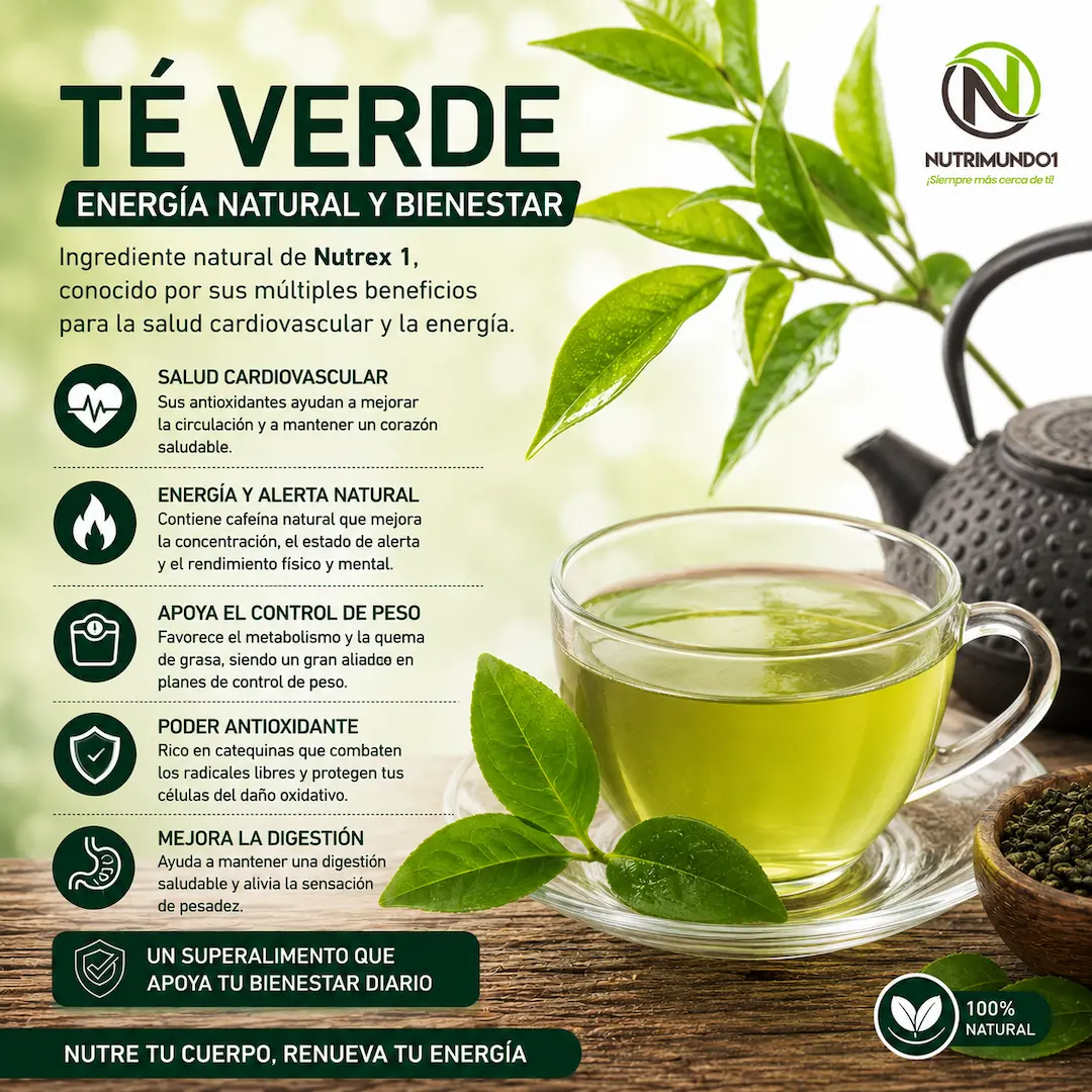 Té verde beneficios para la salud — Nutrimundo1